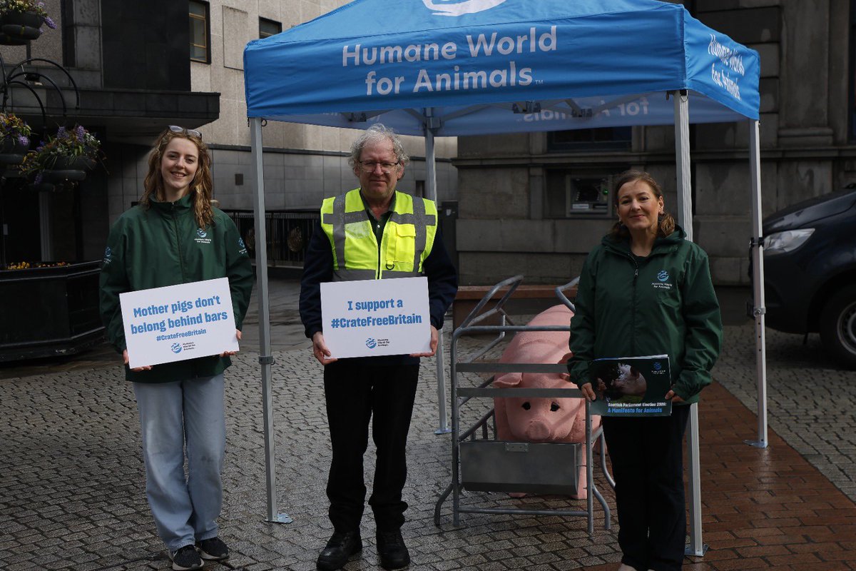Humane World for Animals UK tweet media