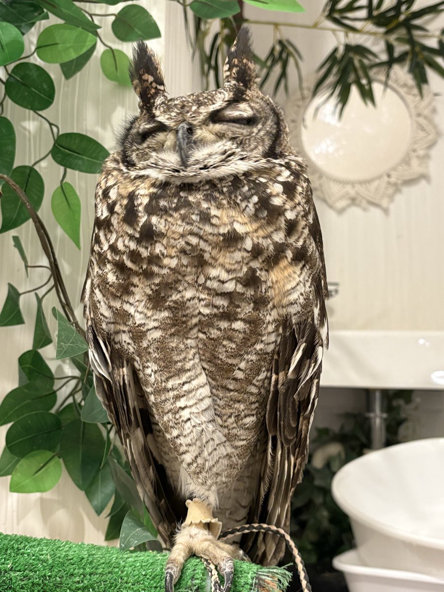 ゆうゆう@固定休(日祝)平日シフト制 tweet media