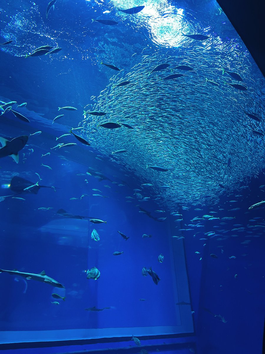 💛バグバグ💛 tweet media