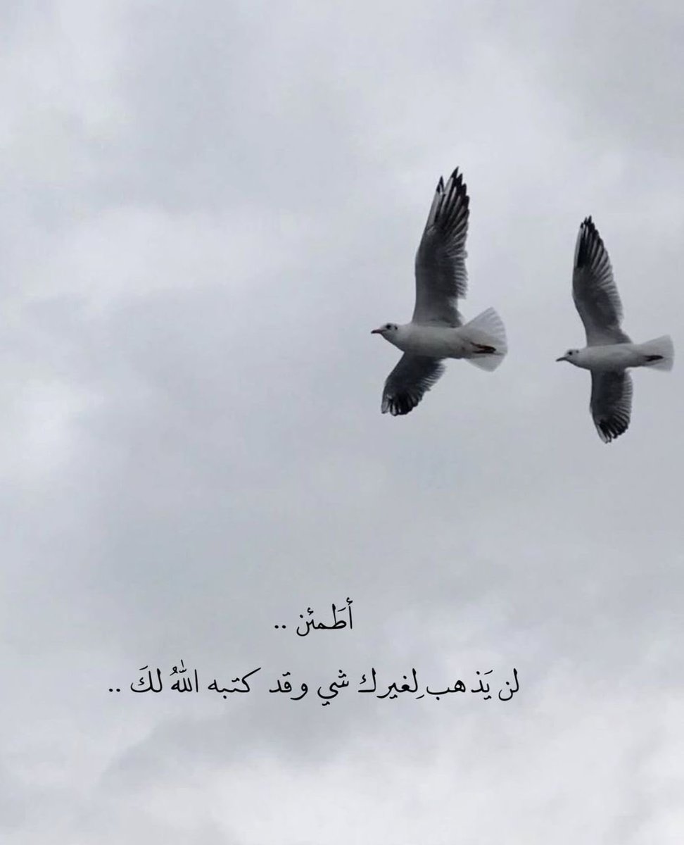 )

#حمد_عبدالله_ال_منصور  -رحمه الله وأورثه الفردوس الأعلى-
#التوبة #الغفور
#الصبر  #سبحان_الله #بر_الوالدين  #الختمة #الجمعة #ساعة_إجابة #استغفار  #دعاء  #الوتر #التسبيح #الذكر  #يارب #الرحمن #الرحيم #ﷺ #صيام #الكهف #قرآن #صلاة_الليل #الوضوء #الصدقة