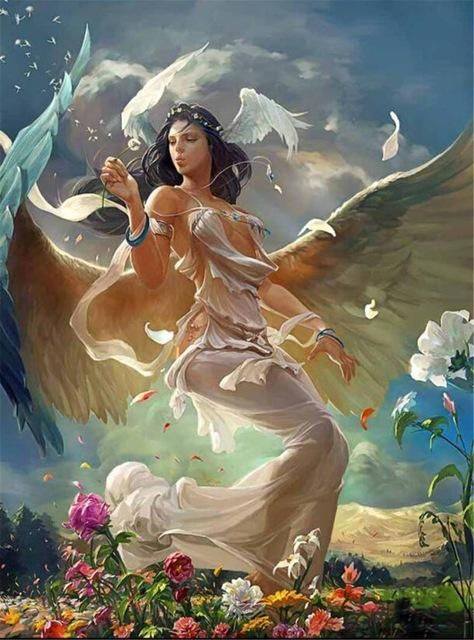 S.M.O.P. Valdiego tweet media