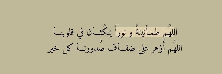 هُدوء tweet media