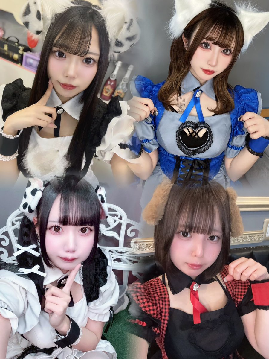 わんわんPRIMO🐾求人大募集❕ tweet media