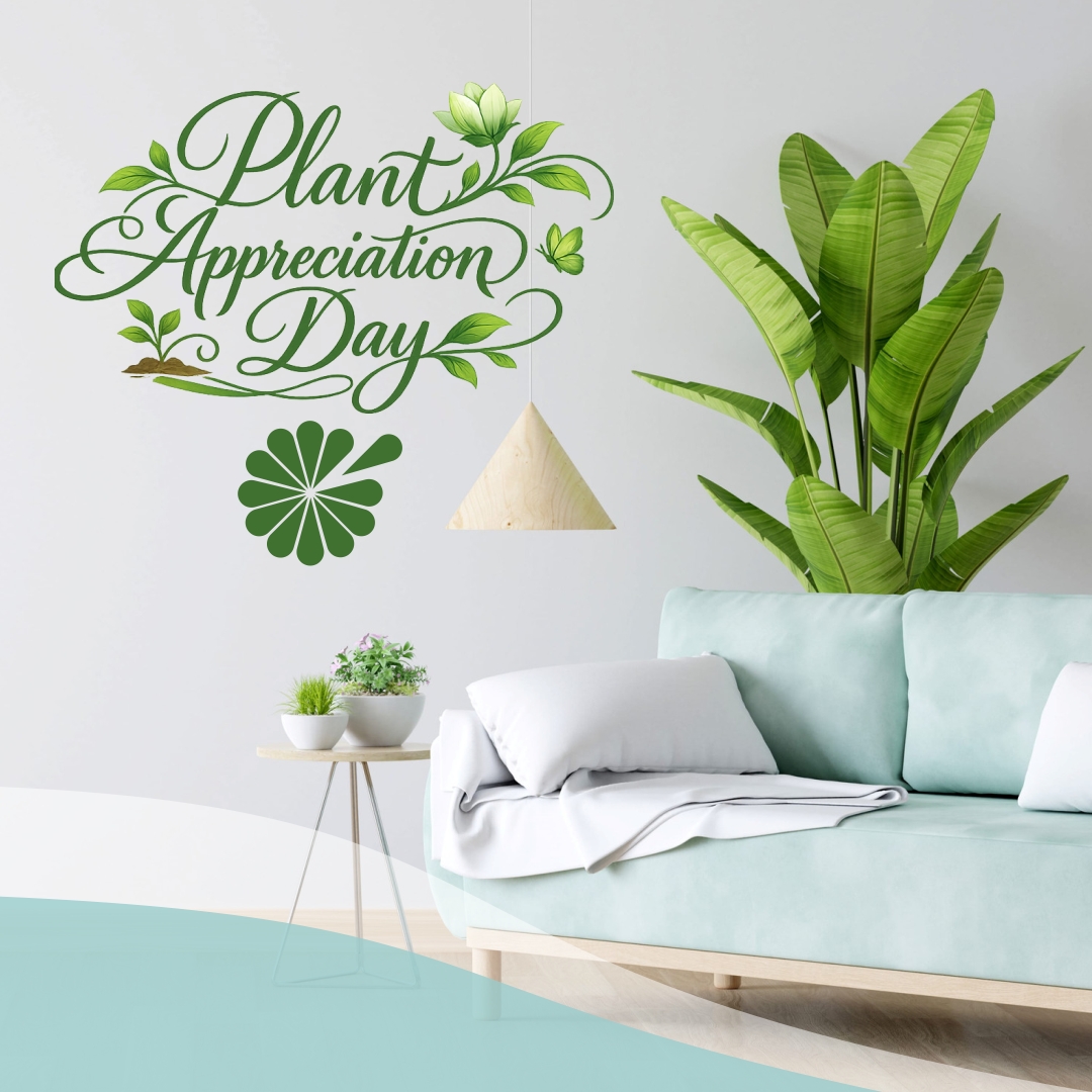 GeorgeThomasFlorist tweet media