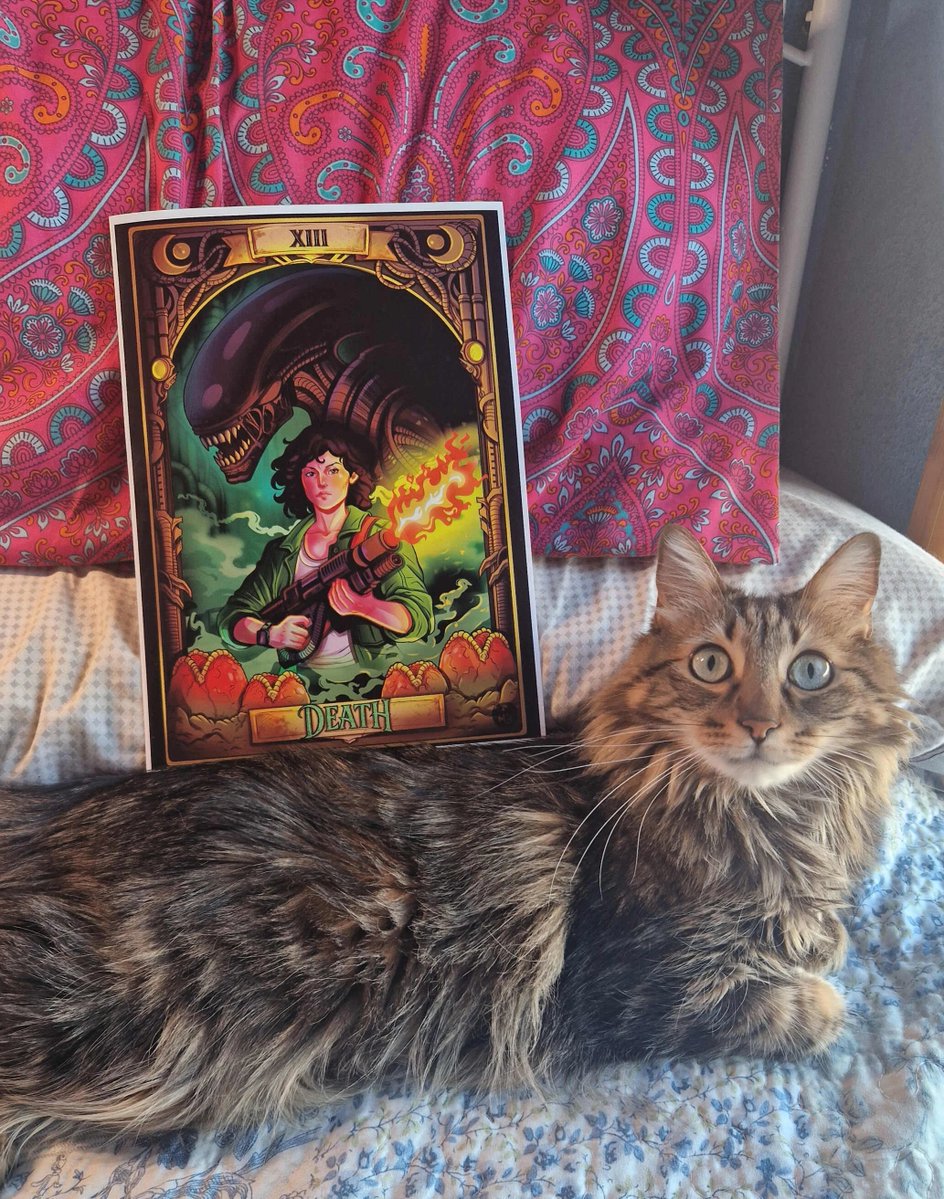 ✨Wild Nimue✨ tweet media