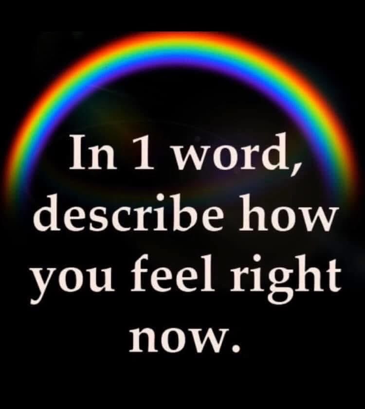 Steph ★✩*🦋 tweet media