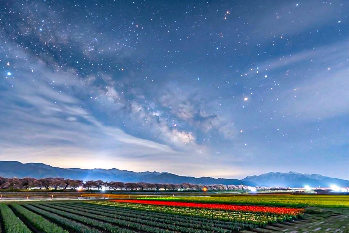 supremeさんの写真部屋 tweet media