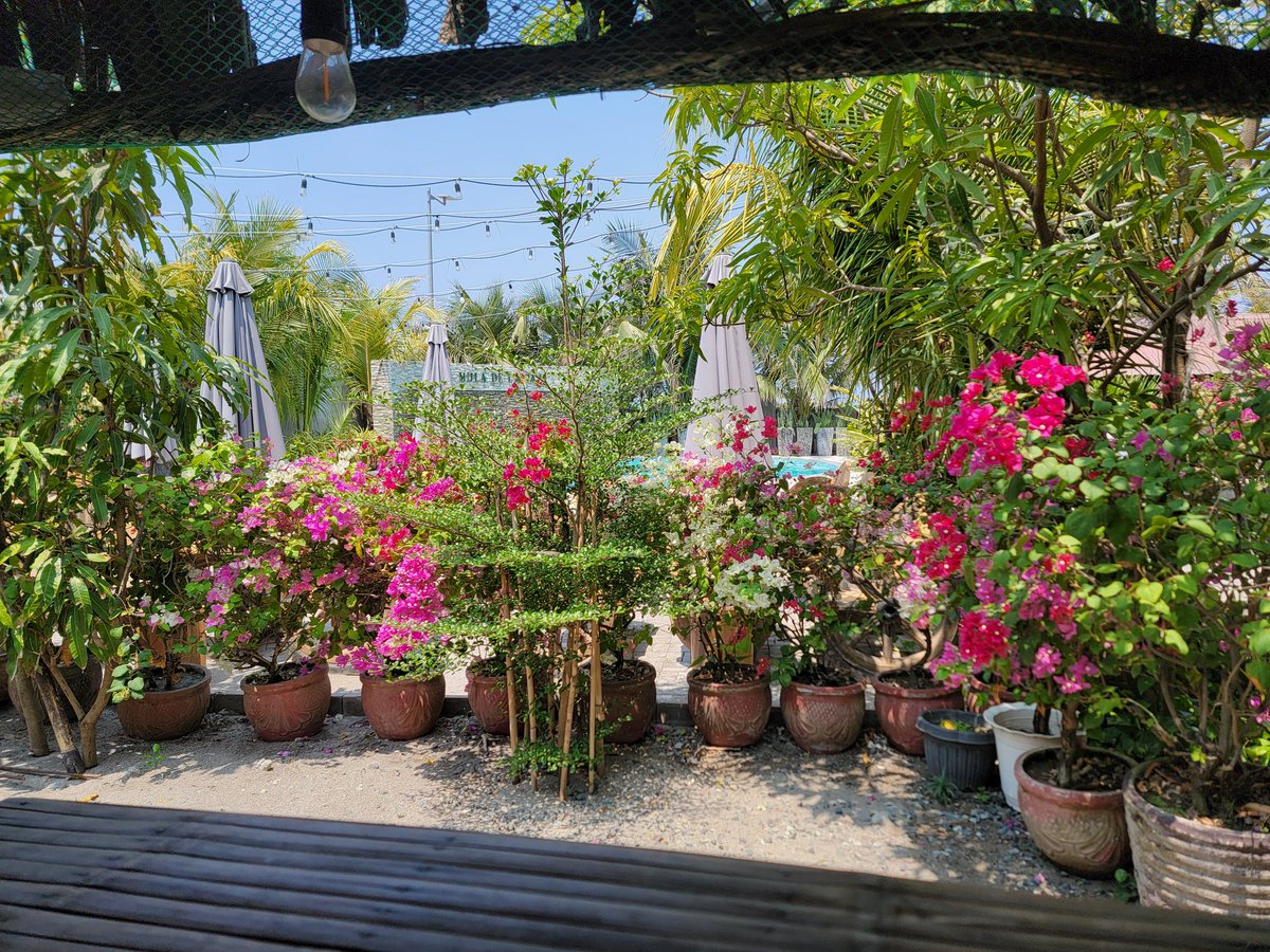 RogueCmdr | 🇺🇸 (US) tweet media