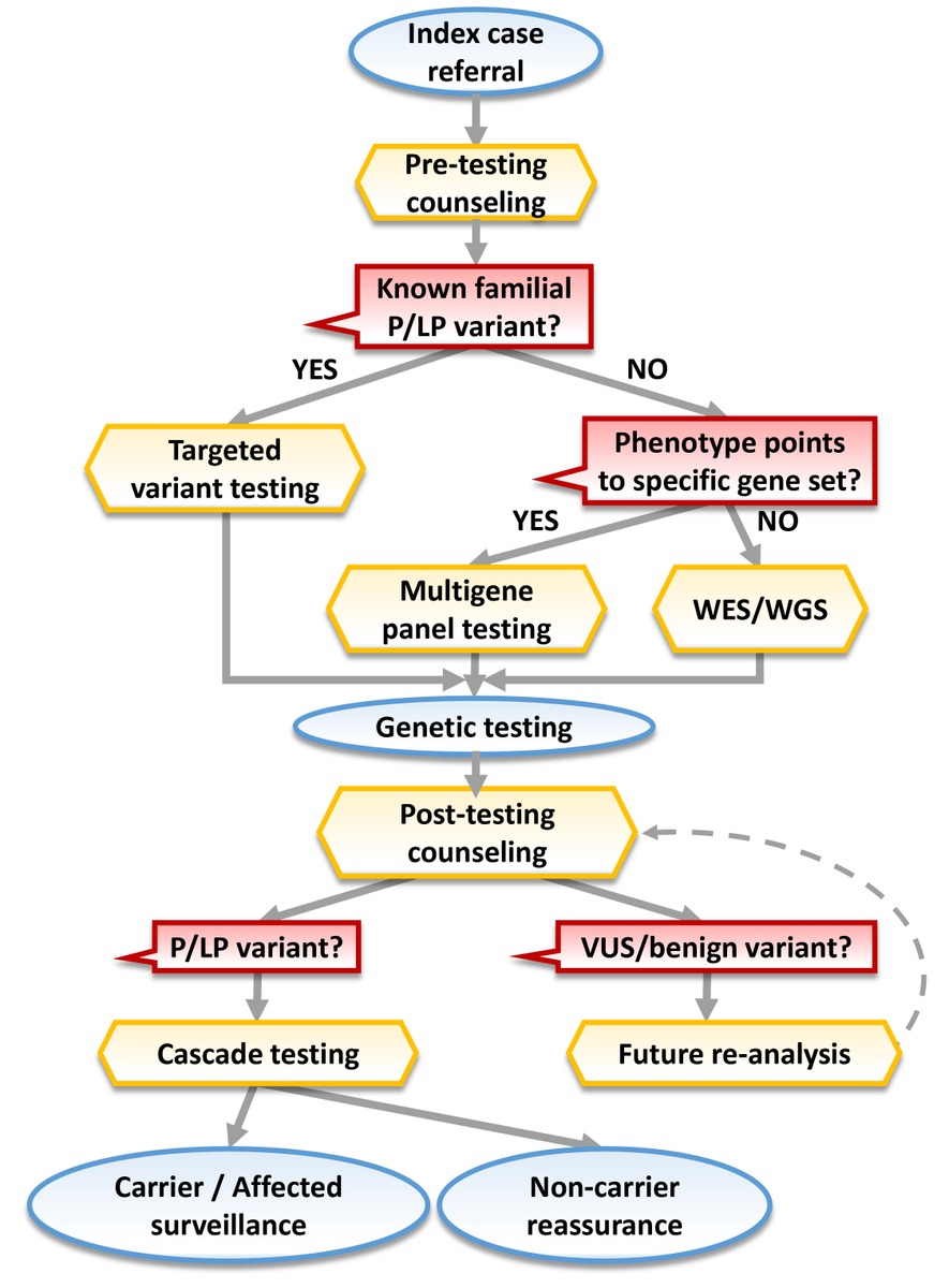 Twinkle xu tweet media