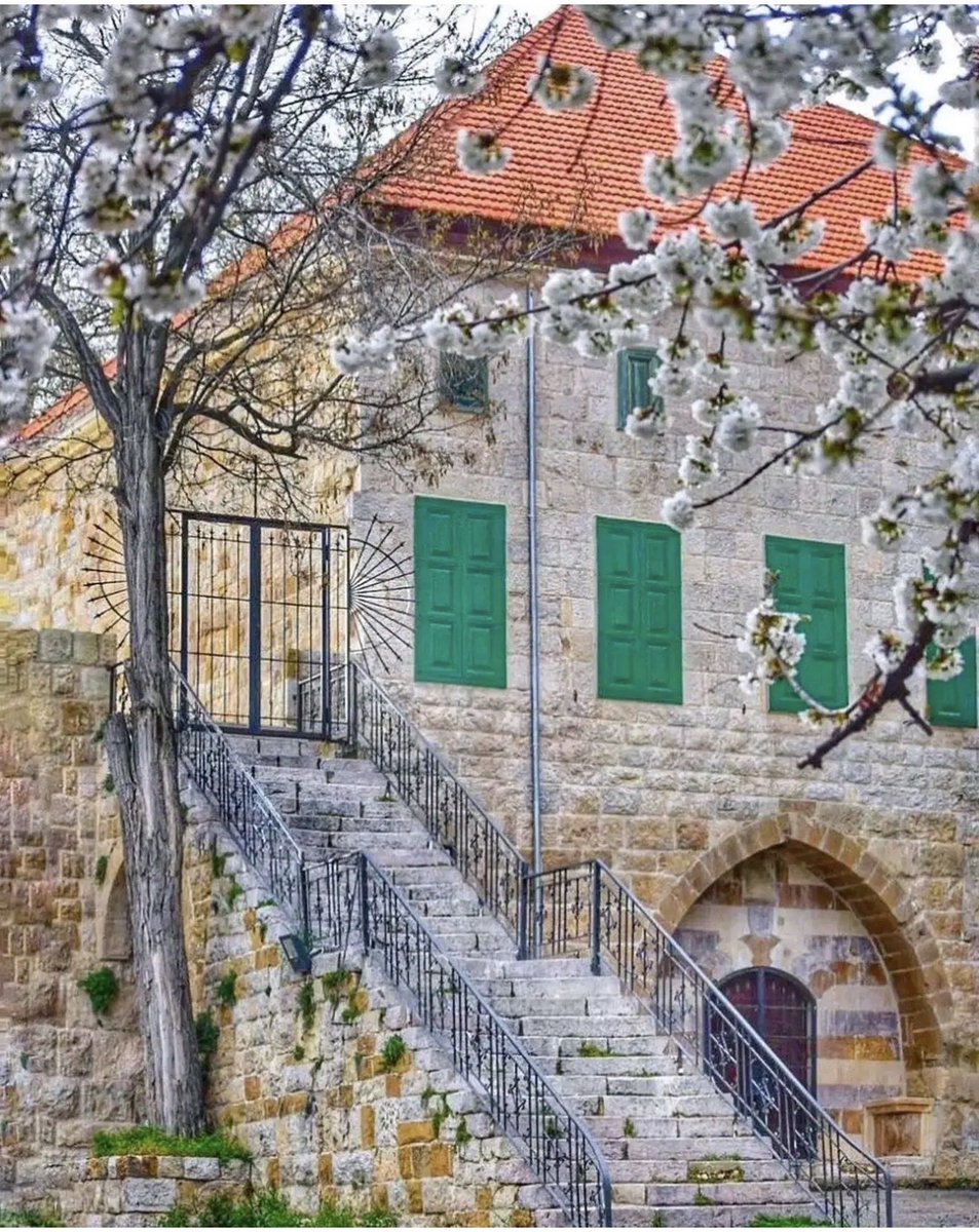 Abby Naamani 🇺🇸 🇱🇧(عبدالله نعماني) tweet media