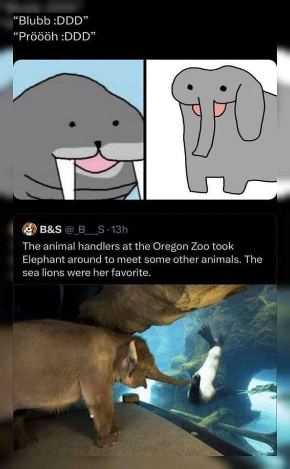 internet hall of fame tweet media