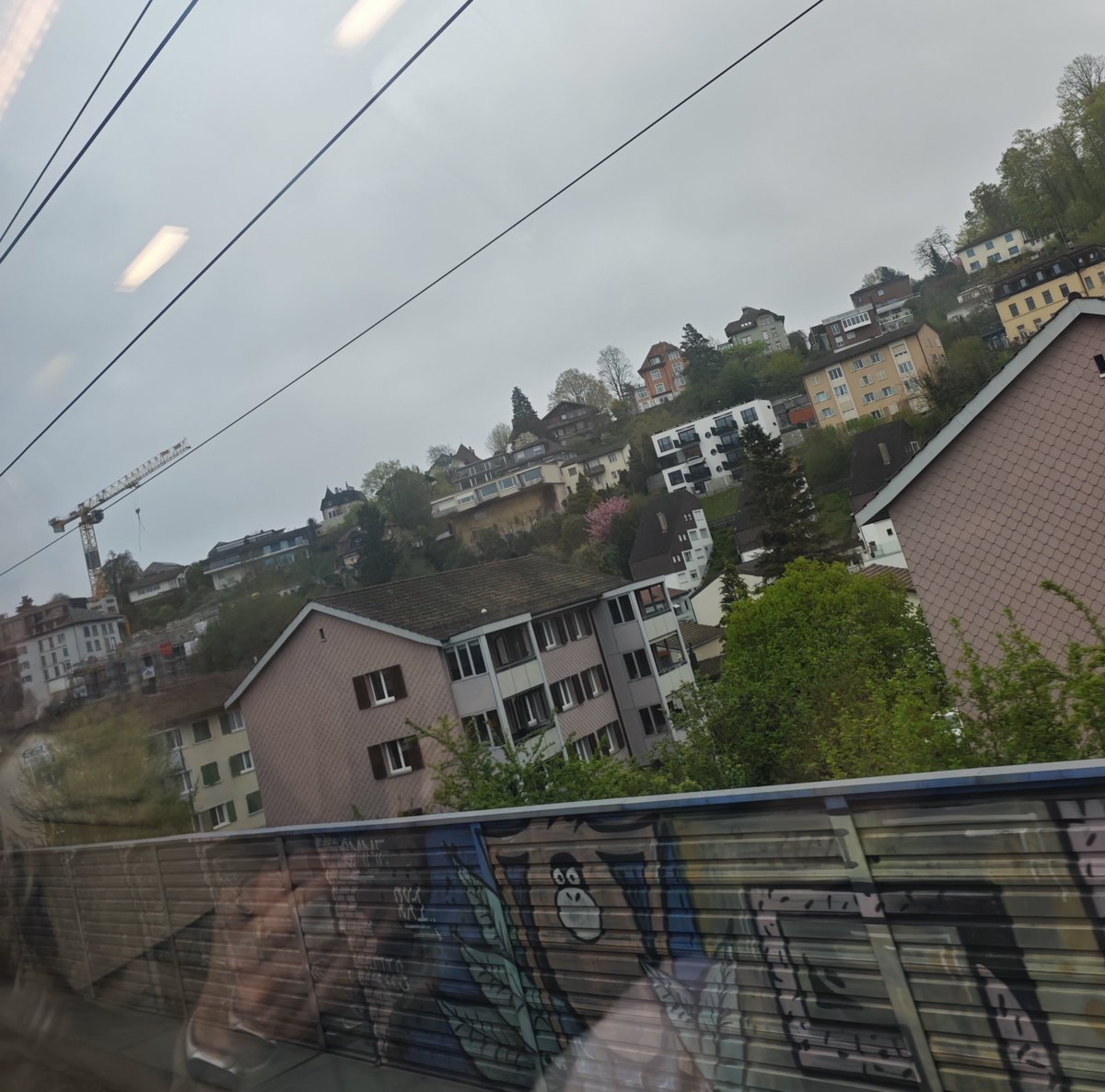 Azad Penaber tweet media