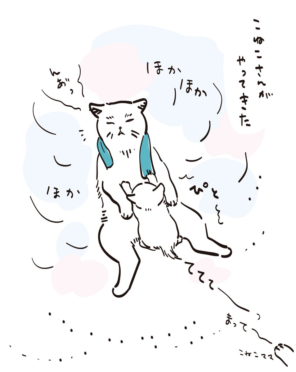 元祖ふとねこ堂 tweet media