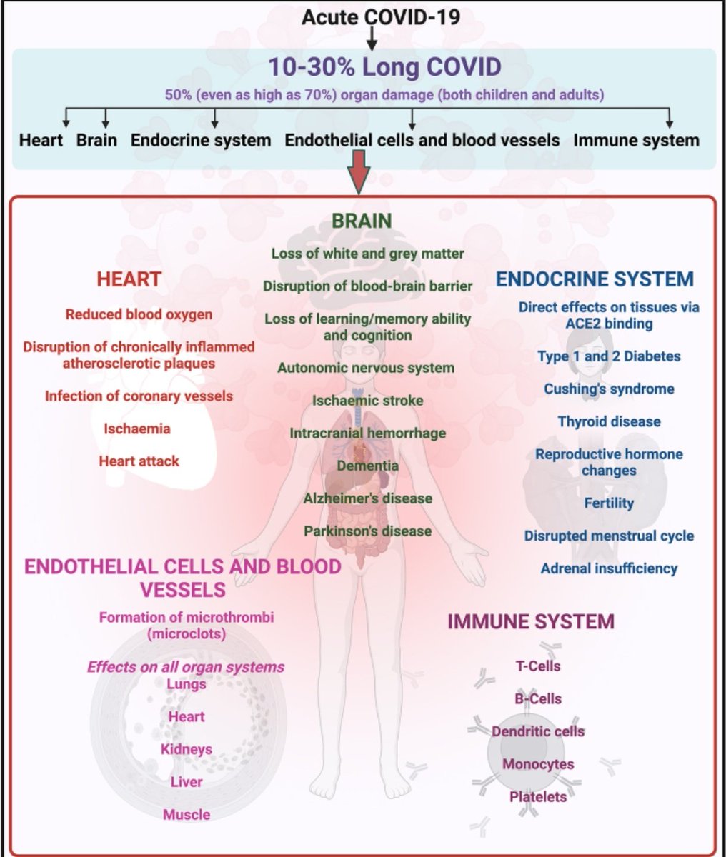 Alex ~ 🔻😷🌈 🏳️‍⚧️ 🇵🇸 tweet media