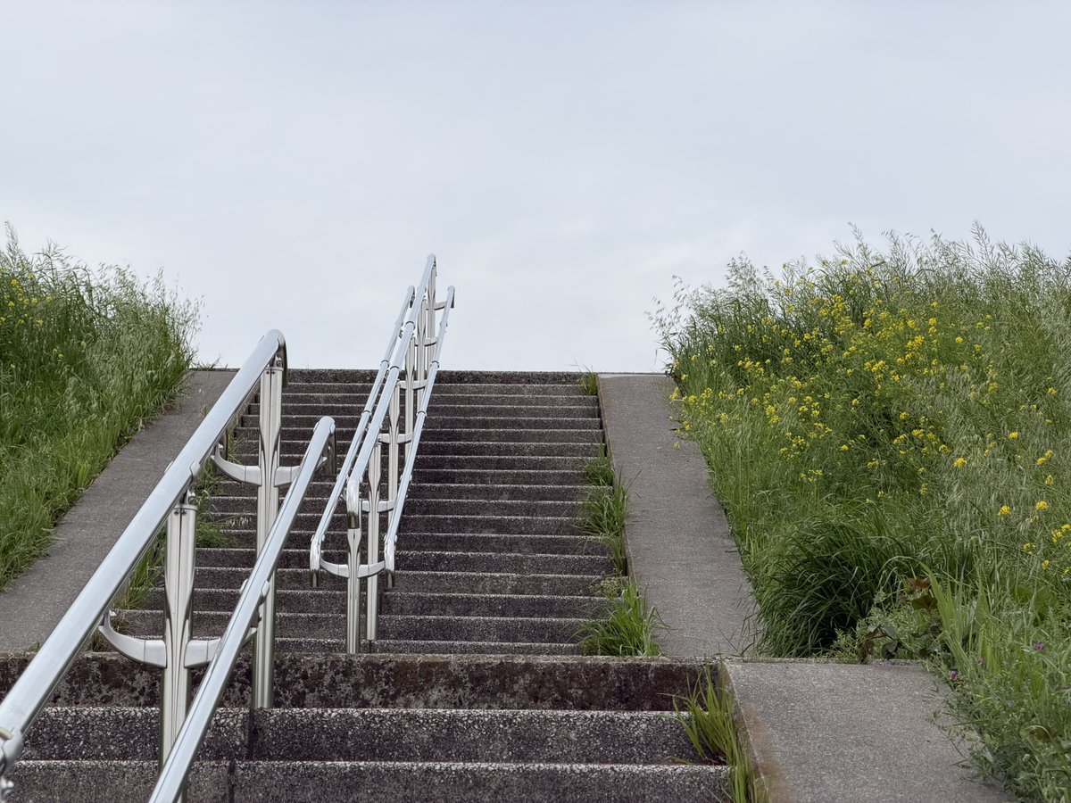 dragoner tweet media