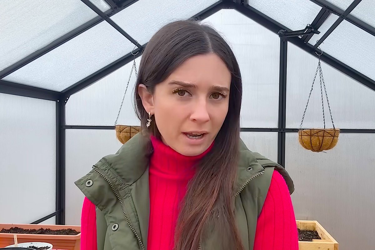 TShepstone's tweet photo. How to Defeat Solar and Wind Industrial Facilities: Start with A Talented, Committed Spokesperson Who Knows How to Fight!
https://t.co/F45kmtzLIr
#NewYork #Upstate #ClimateAct #Solar #Electricity #ElectricGrid #Wind #RachelMay #ForestLand #AlexandraFasulo https://t.co/asq0YLqLFT