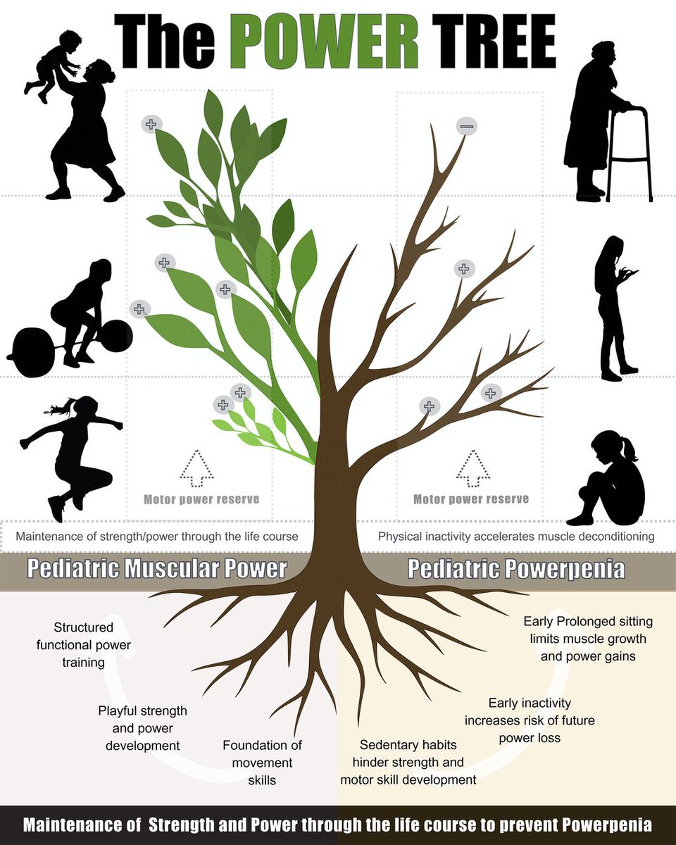 Antonio García-Hermoso tweet media