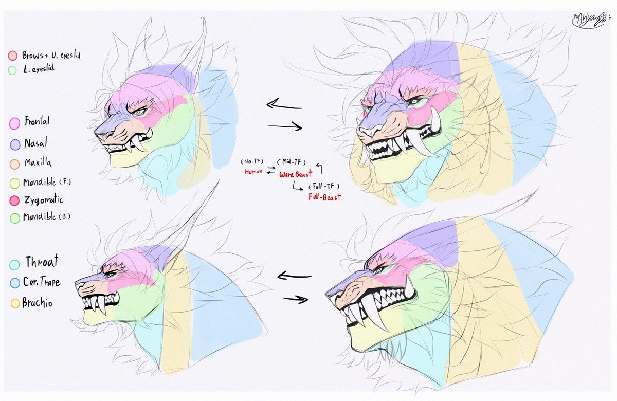 Q: Why does Good boi have diff face shapes in each form? Is he a shapeshifter?

A: Yes but no,
He's turning from Human (short face) -> Beast (long face)
Basically his skull stretches + expands into a more beast-like so the shape changes, but it’s still the same face same guy