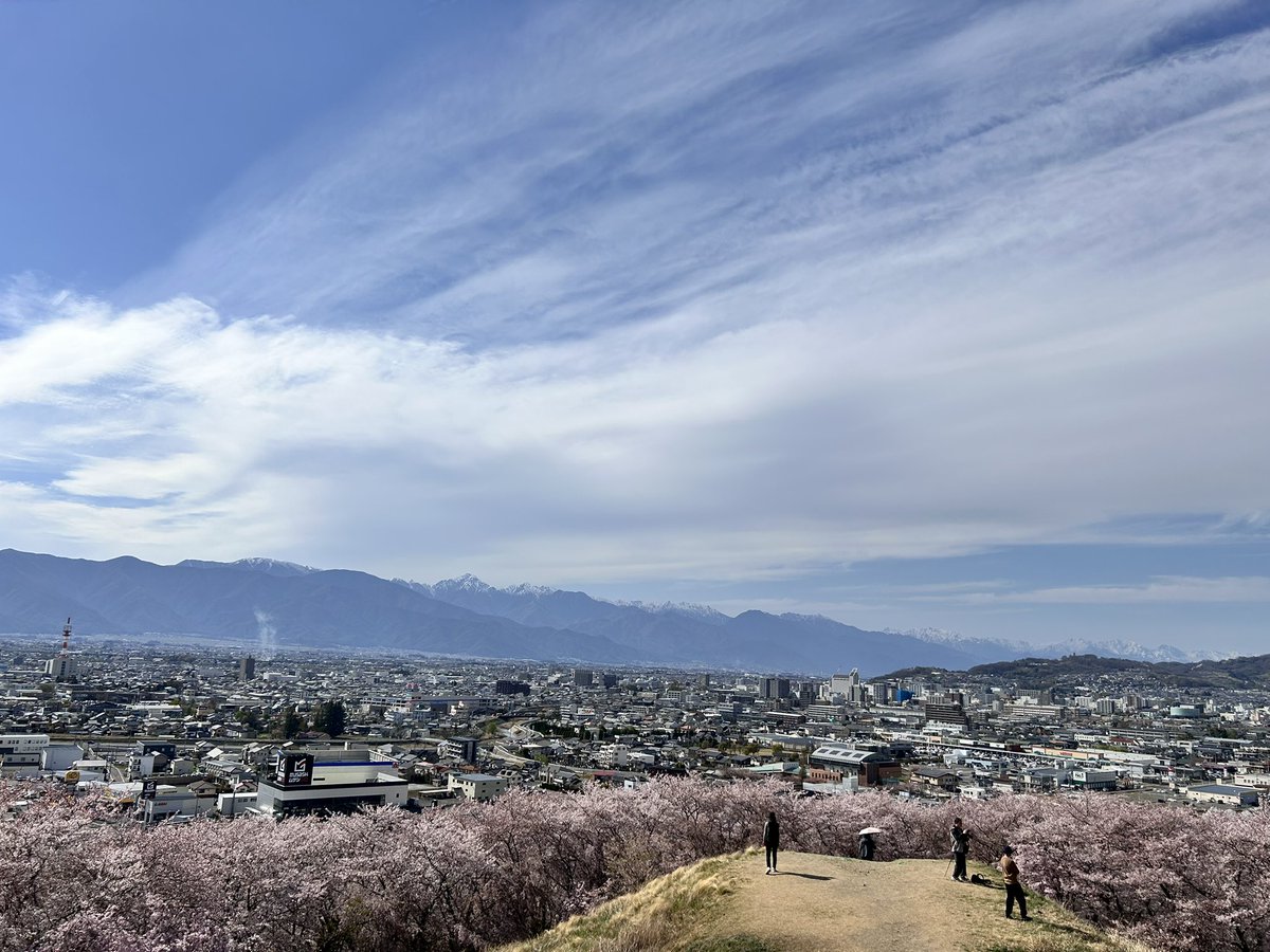 町を一望。
まだ桜間に合いました。