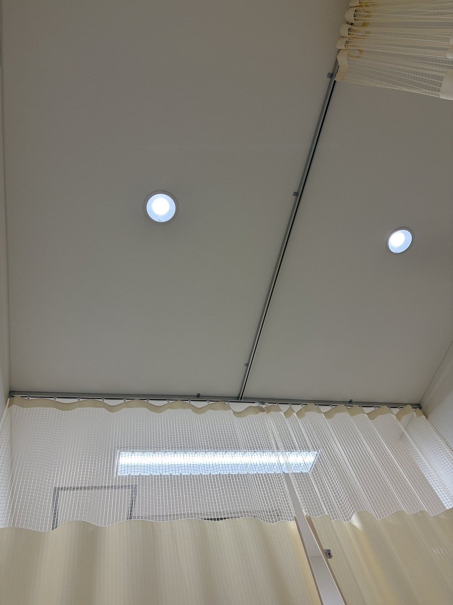 ラッコさんです。 tweet media