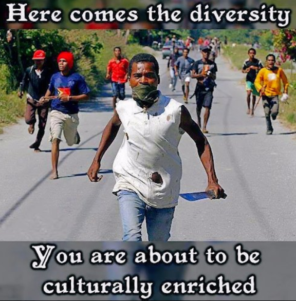 Dissident 1776. tweet media