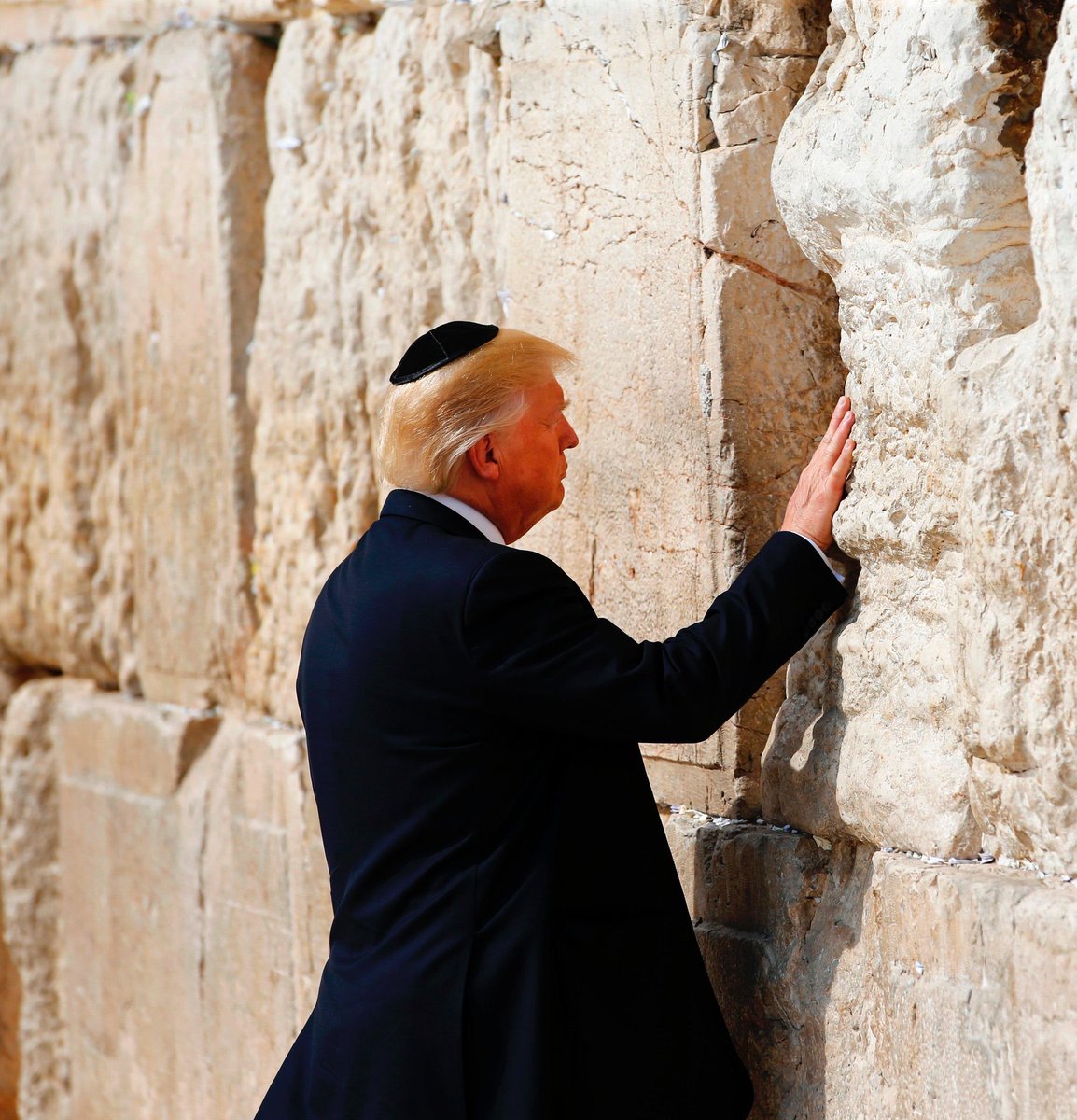 PapistAnCap tweet media