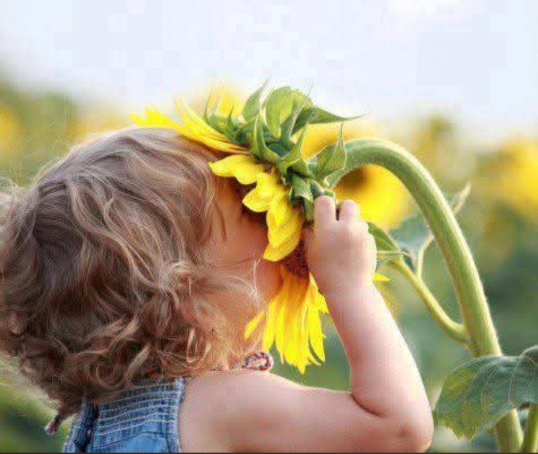 Selen Çepni tweet media