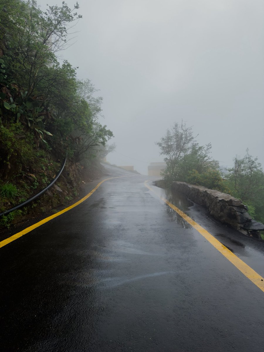 𝘄𝗮𝗹𝗲𝗲𝗱 tweet media