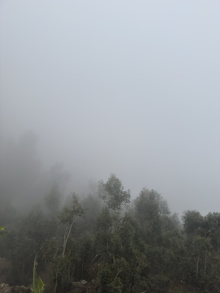 𝘄𝗮𝗹𝗲𝗲𝗱 tweet media