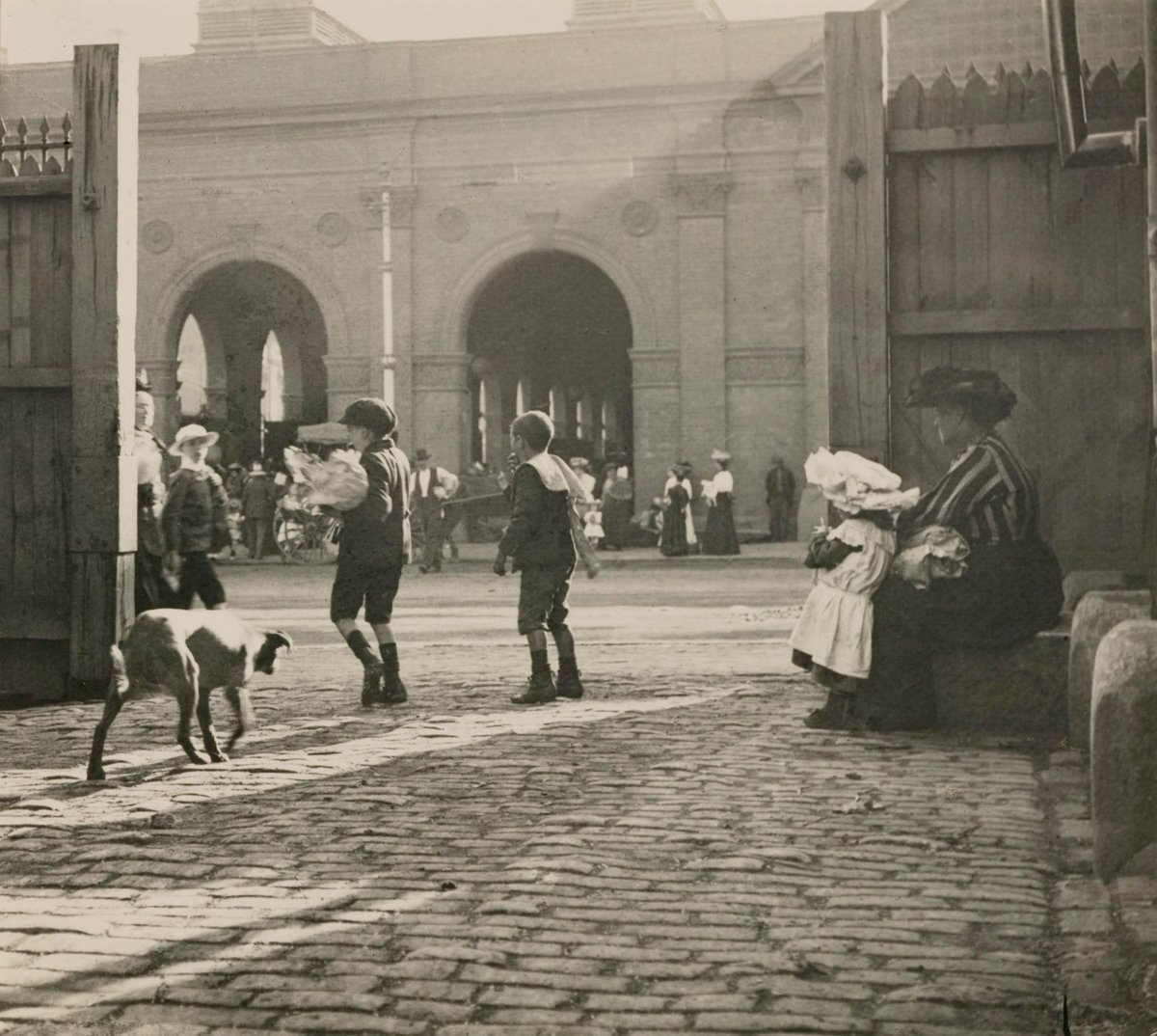 𝑨𝑼𝑺𝑵𝑰𝑨𝑵 tweet media