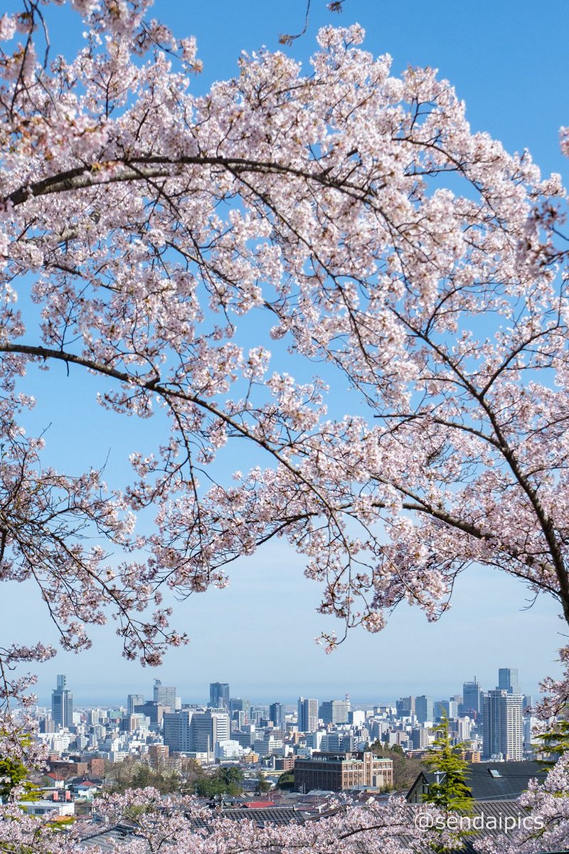 仙台風景写真館 tweet media