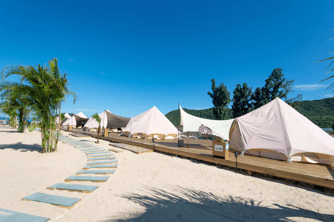 janice moylan tweet media