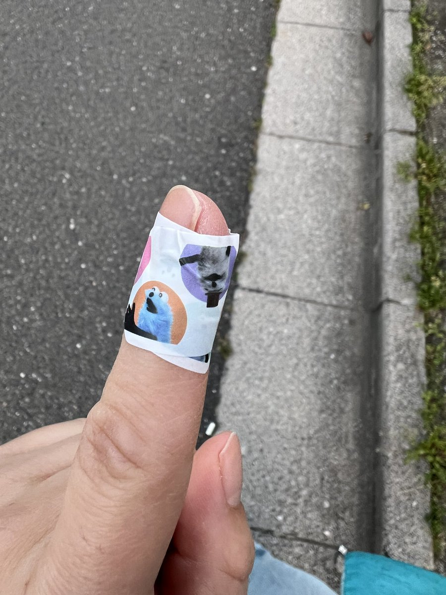 すぬたん tweet media