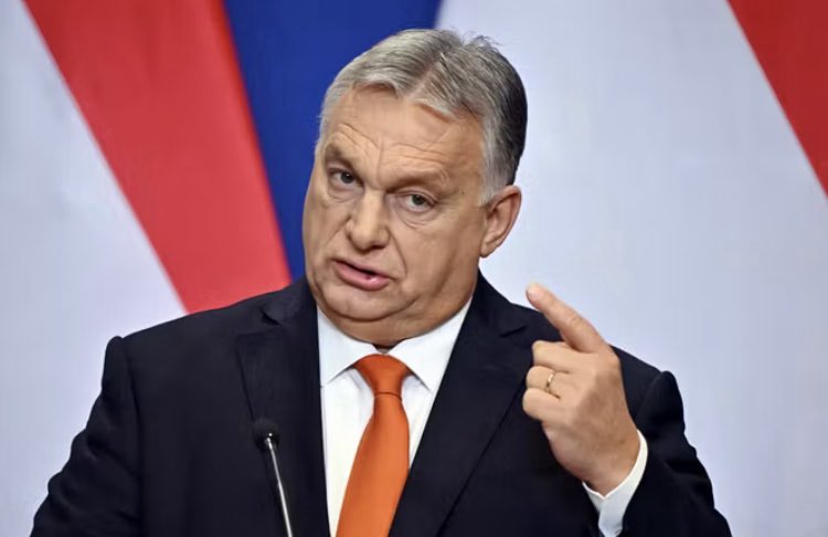 Dražen Jamić 🇭🇷 tweet media