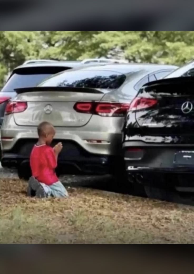 Mj_ibrahim tweet media