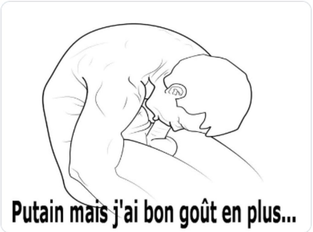 ⚜️ Jinx Kitty ⚜️ tweet media