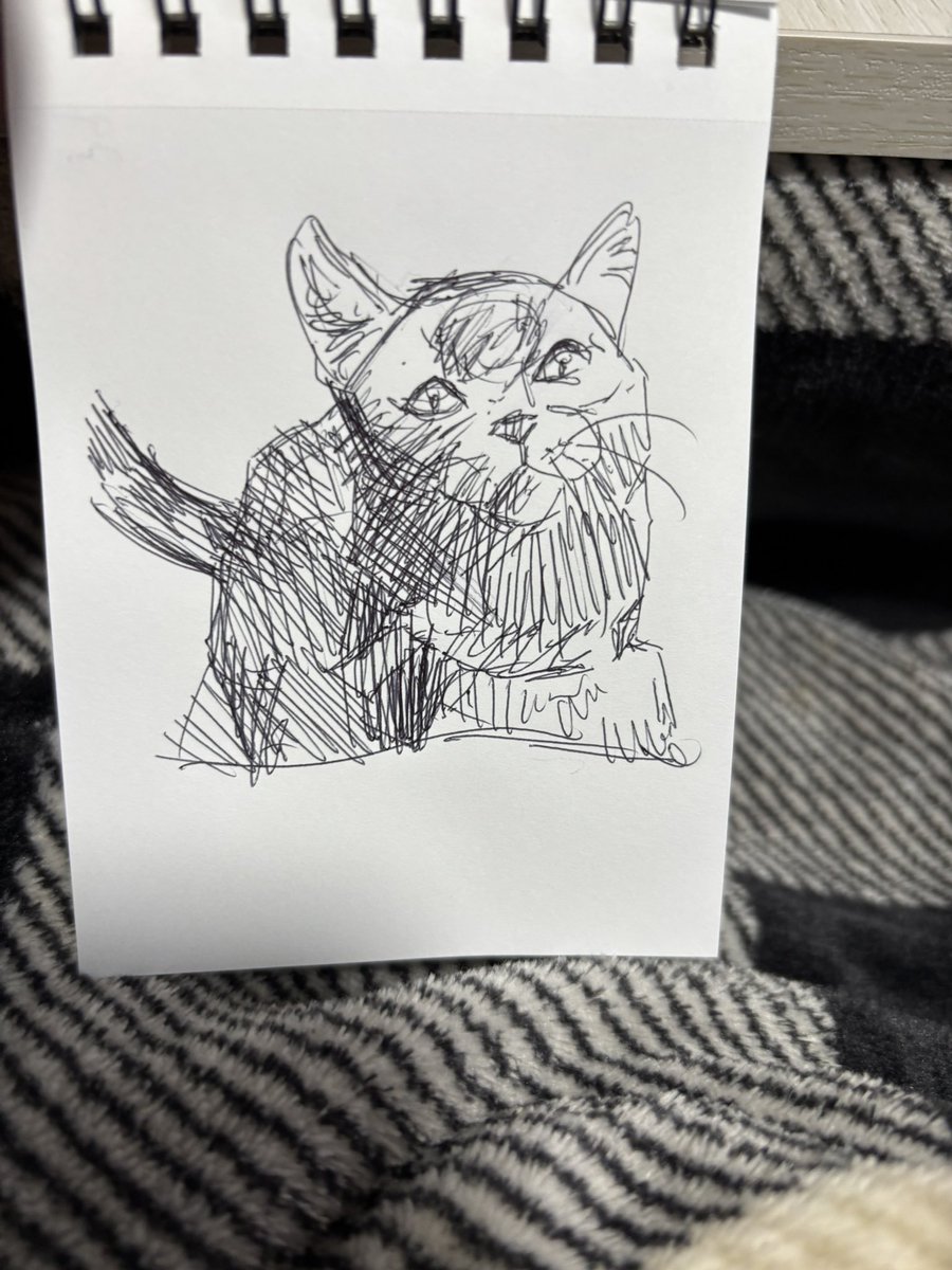 お茶♨️ tweet media