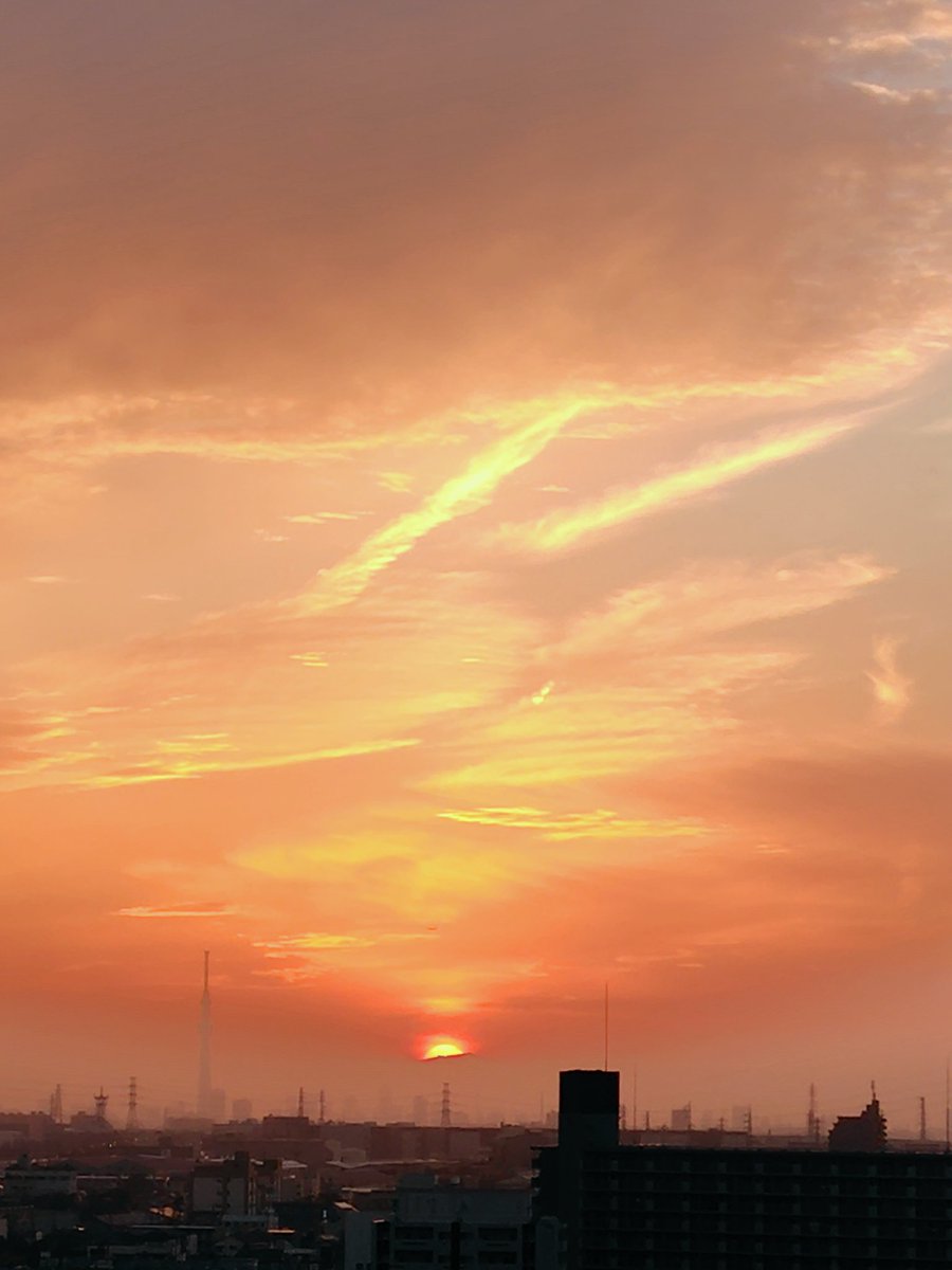 まこと。💒🐰⚾︎✨ tweet media