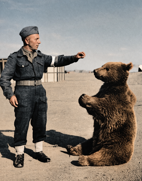 Untold War Stories tweet media