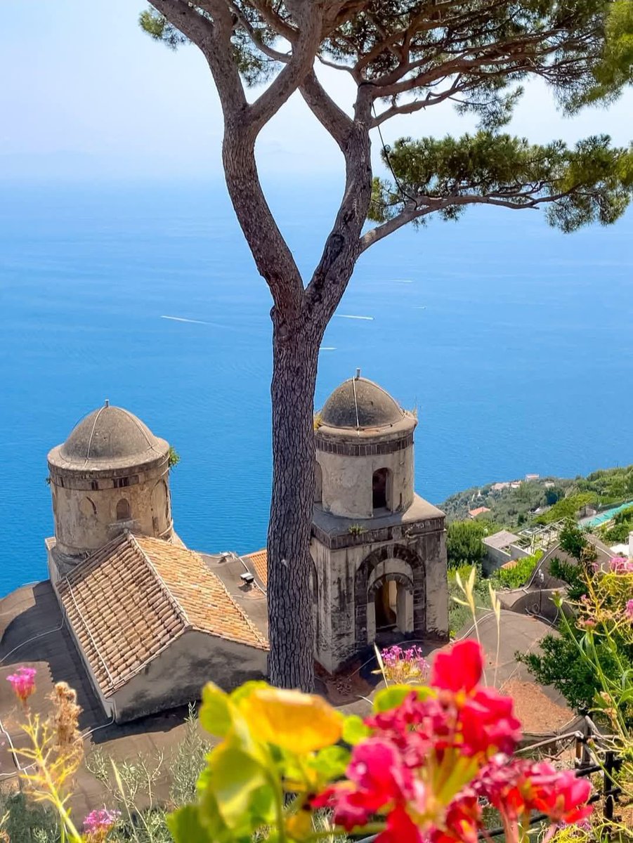 ᔕ....🦢 🇵🇰 tweet media