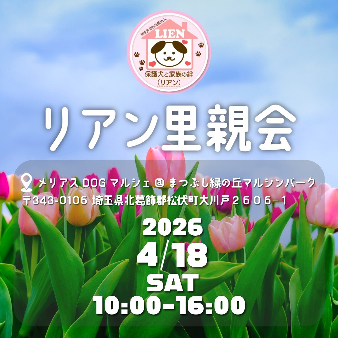 子犬のへや tweet media