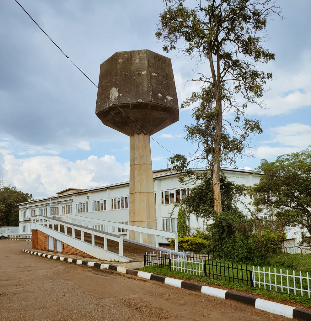 Campus Bee tweet media