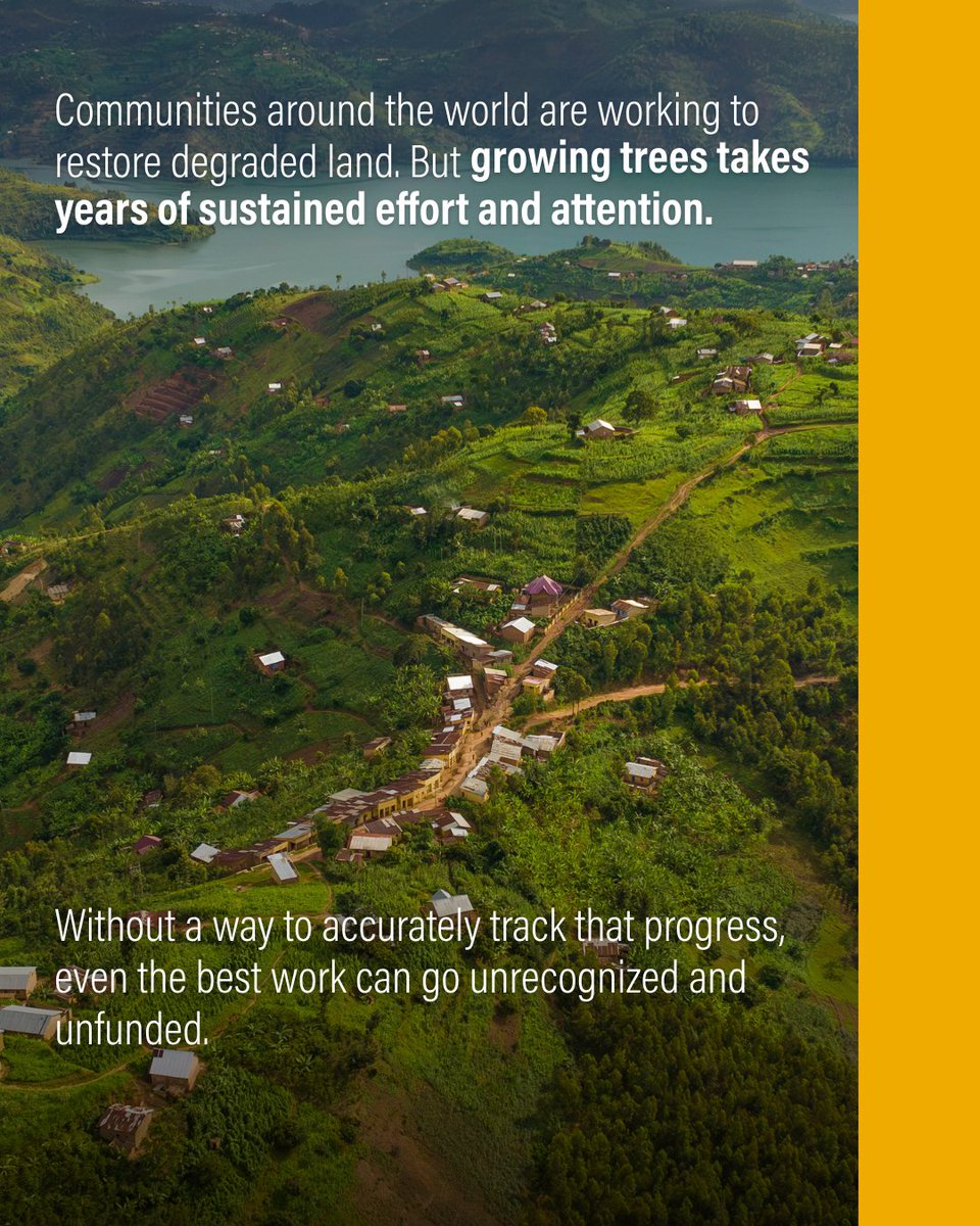 WRI Restoration tweet media