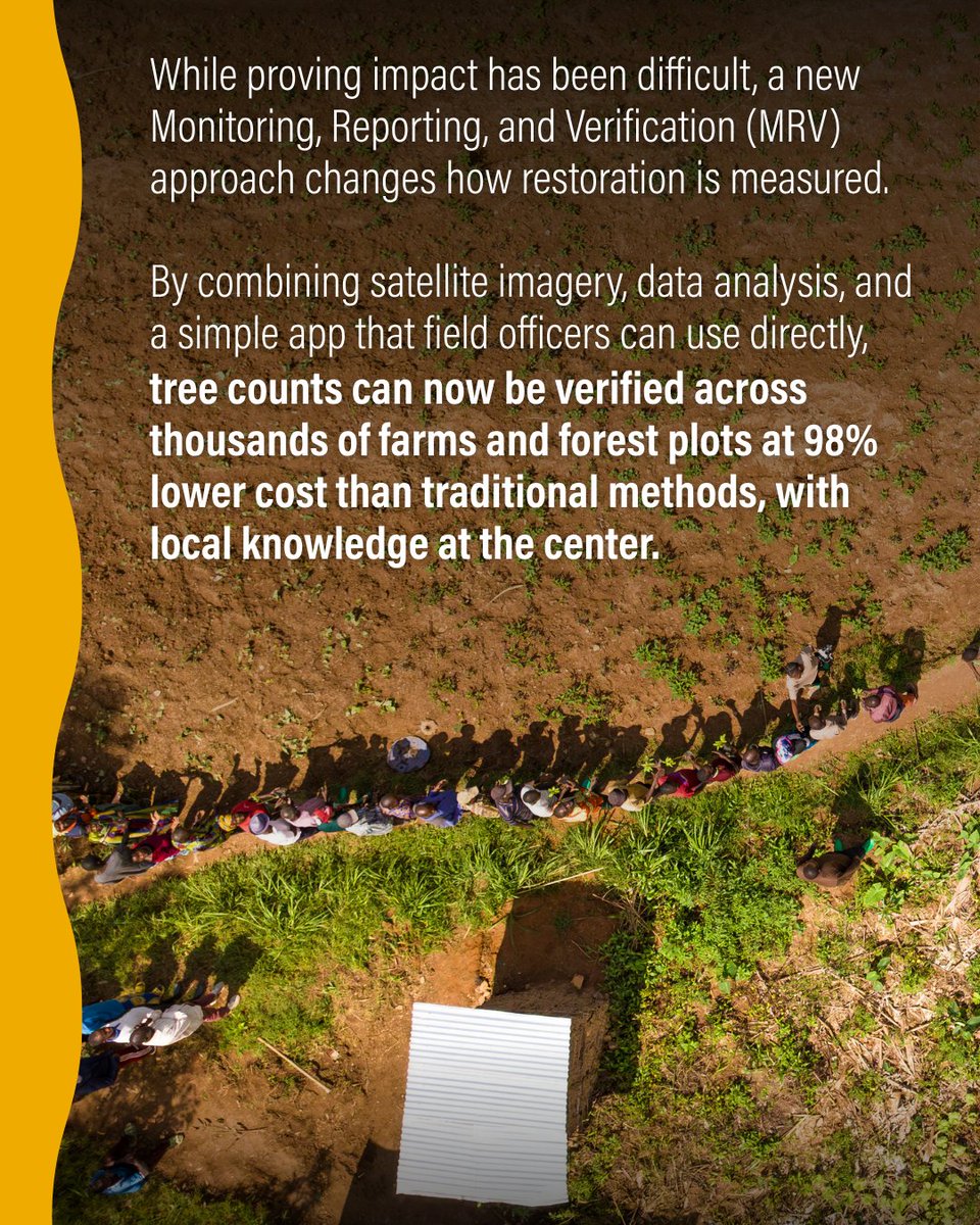 WRI Restoration tweet media