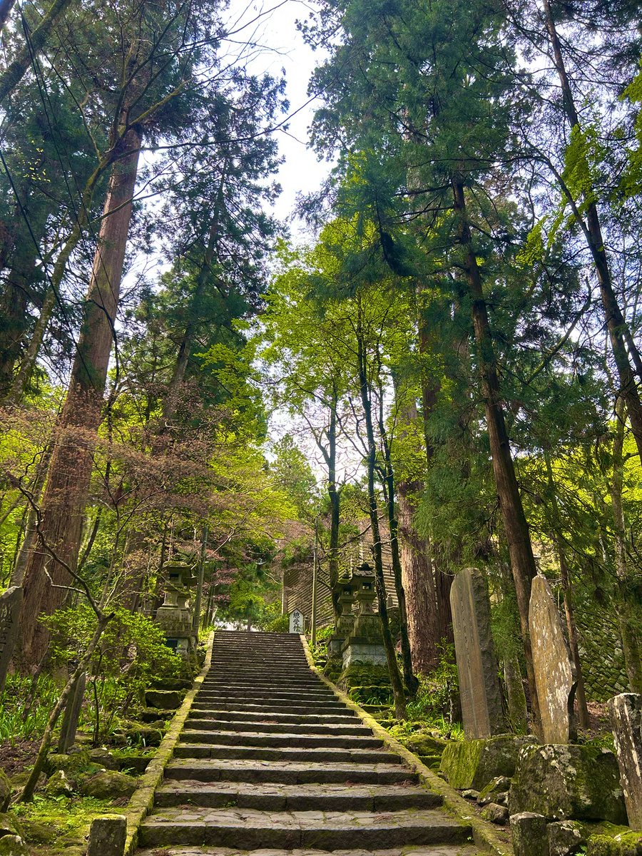 無知むち子 tweet media