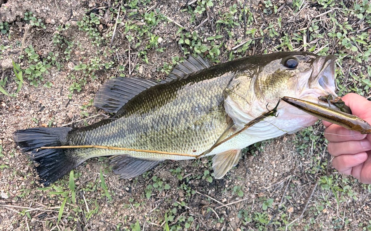 ずっと朝イチでいいのに。 tweet media