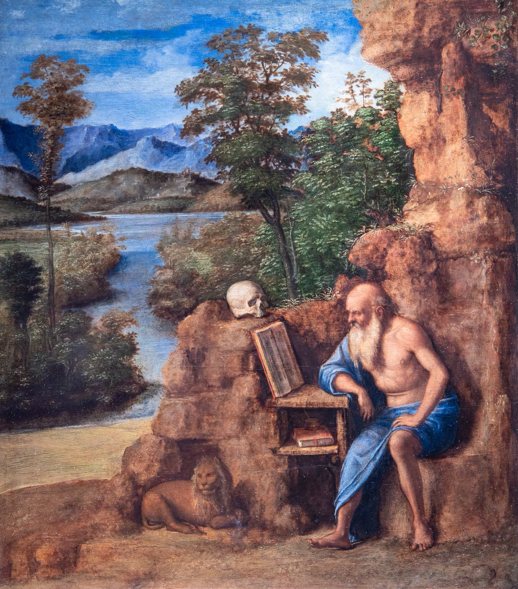 UffiziGalleries's tweet image. In un’armonica fusione tra figura e paesaggio, troviamo un San Girolamo concentrato nel suo studio. Davanti a lui, un teschio ricorda la penitenza e la sua mortalità.

🎨 Cima da Conegliano, San Girolamo nel deserto, 1510-1520 c., #Uffizi