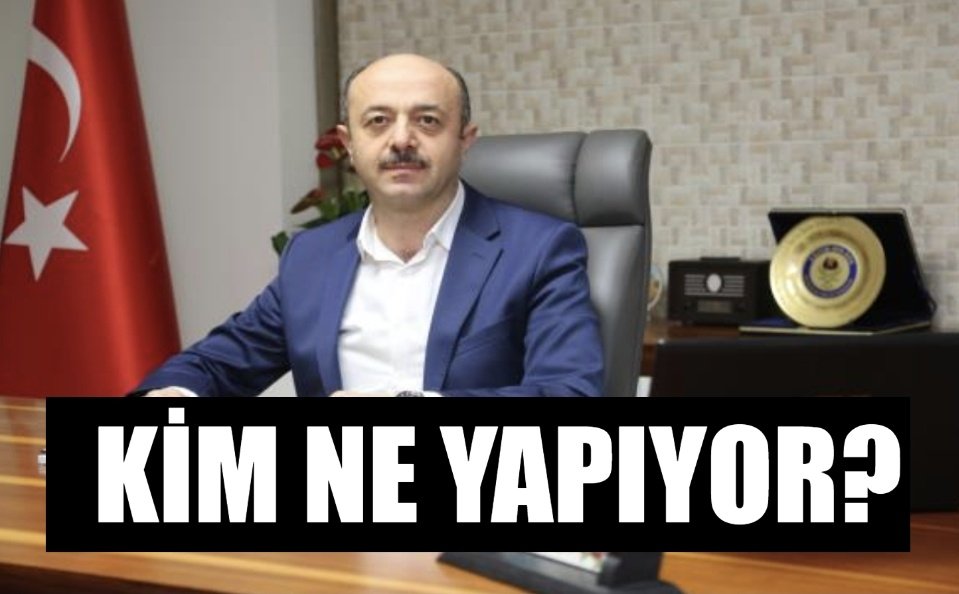 Seda Olgun tweet media