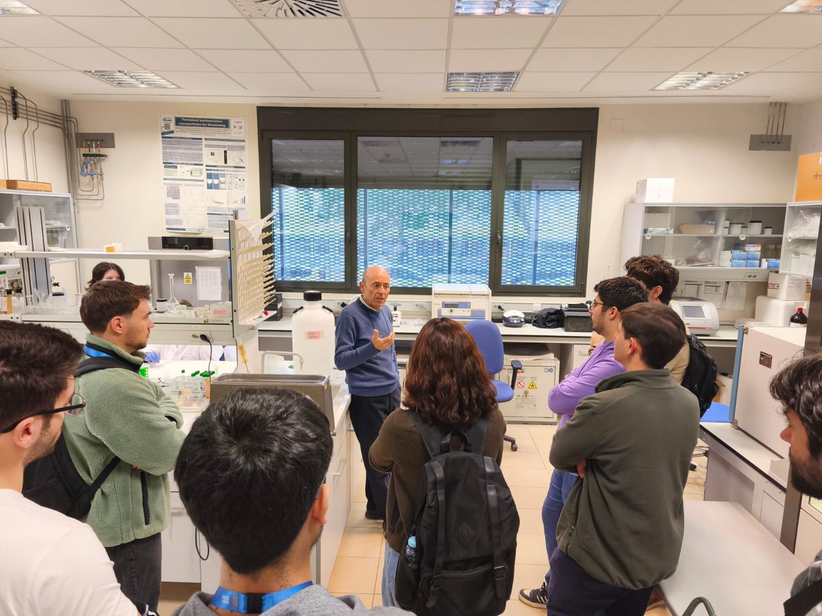 Instituto de Ciencia de Materiales de Sevilla-ICMS tweet media