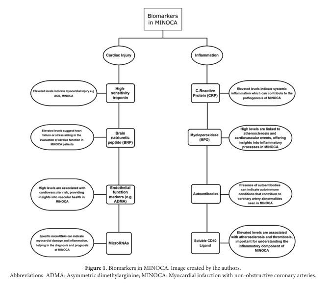 Brain & Heart - ASP tweet media